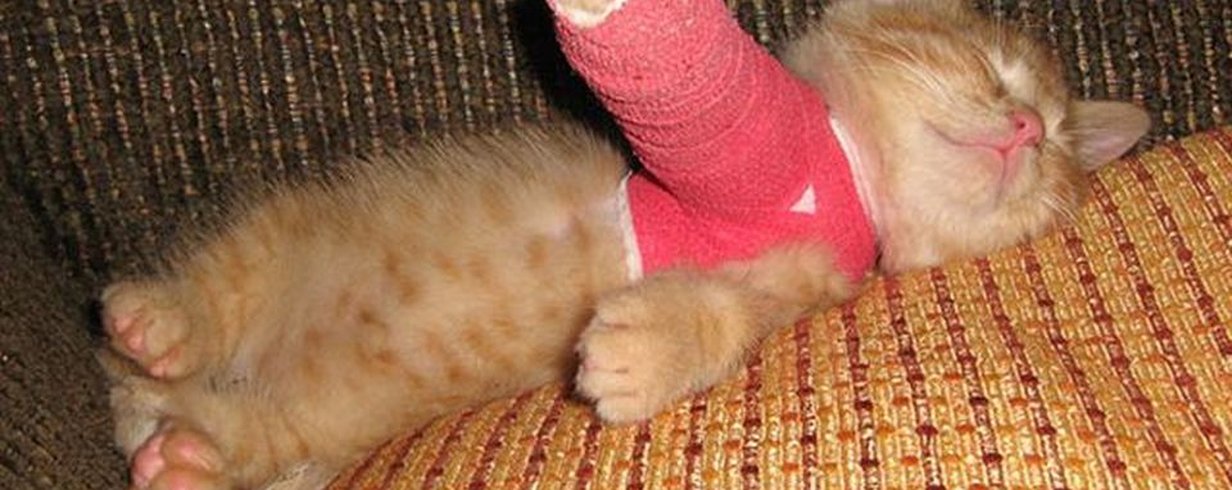 thumb-image-2024-02-29T14:02:04.834Z
