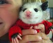 thumb-image-2024-02-29T14:02:05.257Z