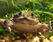 thumb-image-2024-02-29T14:02:05.594Z