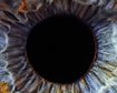 thumb-image-2024-02-29T13:58:17.504Z