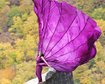 thumb-image-2024-02-29T14:02:06.182Z