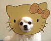 thumb-image-2024-02-29T14:02:06.530Z