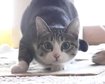 thumb-image-2024-02-29T14:02:06.760Z
