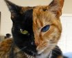 thumb-image-2024-02-29T13:58:23.960Z
