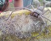 thumb-image-2024-02-29T14:02:07.669Z