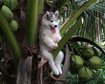 thumb-image-2024-02-29T14:02:07.725Z