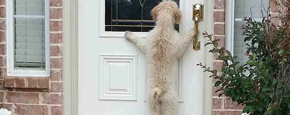 thumb-image-2024-02-29T14:02:07.933Z