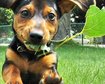 thumb-image-2024-02-29T14:02:08.512Z