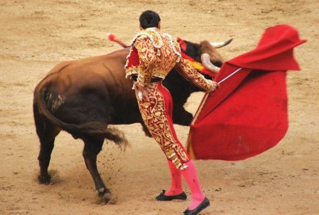 Fúria animal: fotos confirmam os perigos da Corrida de Touros em Pamplona -  Mega Curioso