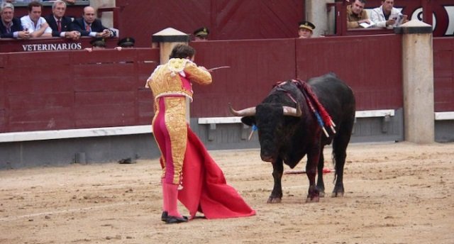 Fúria animal: fotos confirmam os perigos da Corrida de Touros em Pamplona -  Mega Curioso