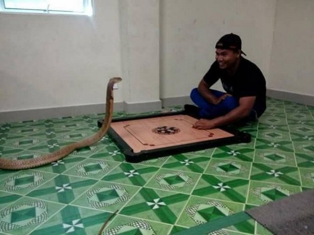 Amor inusitado