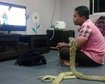 thumb-image-2024-02-29T14:02:09.000Z