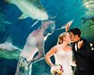 thumb-image-2024-02-29T14:02:10.875Z