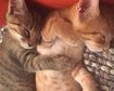thumb-image-2024-02-29T14:02:11.395Z