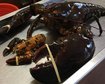 thumb-image-2024-02-29T14:02:11.567Z