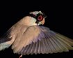 thumb-image-2024-02-29T14:02:11.903Z
