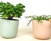 thumb-image-2024-02-29T14:02:12.184Z