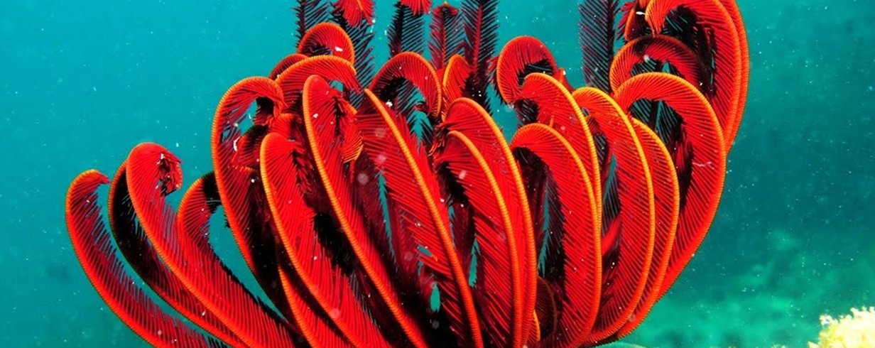 thumb-image-2024-02-29T14:02:12.230Z