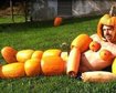 thumb-image-2024-02-29T14:02:12.288Z