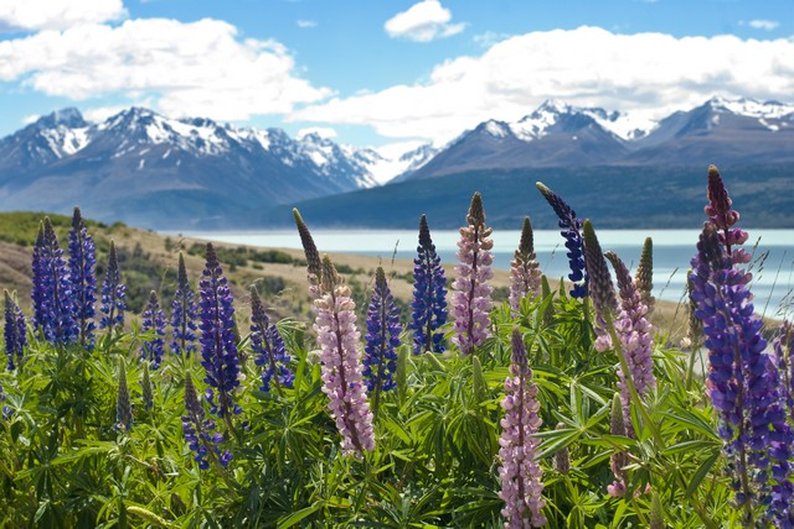 Mount Cook National Park, em Canterbury