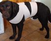 thumb-image-2024-02-29T14:01:22.668Z