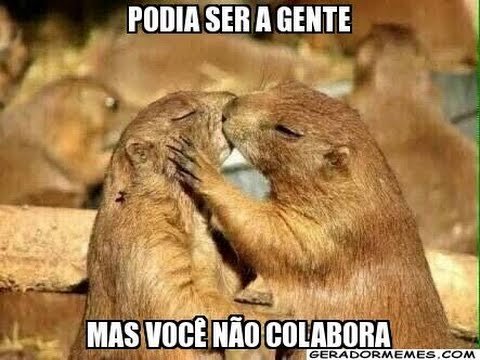 Memetrospectiva: os melhores memes das redes sociais brasileiras em 2016