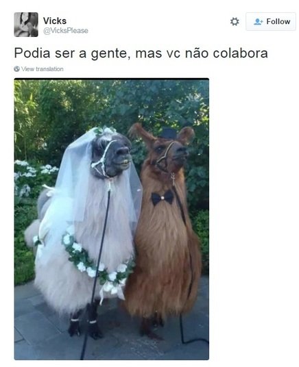 Memetrospectiva: os melhores memes das redes sociais brasileiras em 2016