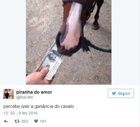 Memetrospectiva: os melhores memes das redes sociais brasileiras em 2016