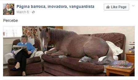 Memetrospectiva: os melhores memes das redes sociais brasileiras em 2016