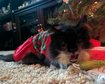thumb-image-2024-02-29T14:02:13.316Z