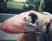 thumb-image-2024-02-29T14:02:13.622Z