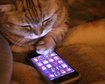 thumb-image-2024-02-29T14:02:13.945Z