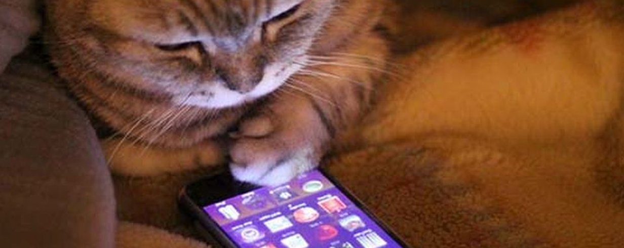 thumb-image-2024-02-29T14:02:13.945Z