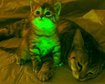 thumb-image-2024-02-29T14:02:14.292Z