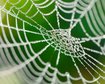 thumb-image-2024-02-29T14:02:14.969Z
