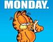 thumb-image-2024-02-29T14:02:15.221Z