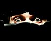 thumb-image-2024-02-29T13:58:44.648Z