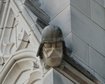 thumb-image-2024-02-29T14:02:15.511Z