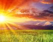 thumb-image-2024-02-29T14:02:15.904Z