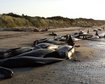 thumb-image-2024-02-29T14:02:17.674Z