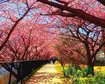 thumb-image-2024-02-29T14:02:17.843Z