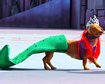 thumb-image-2024-02-29T14:02:18.354Z