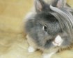 thumb-image-2024-02-29T14:02:18.405Z