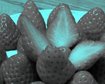 thumb-image-2024-02-29T14:02:18.825Z