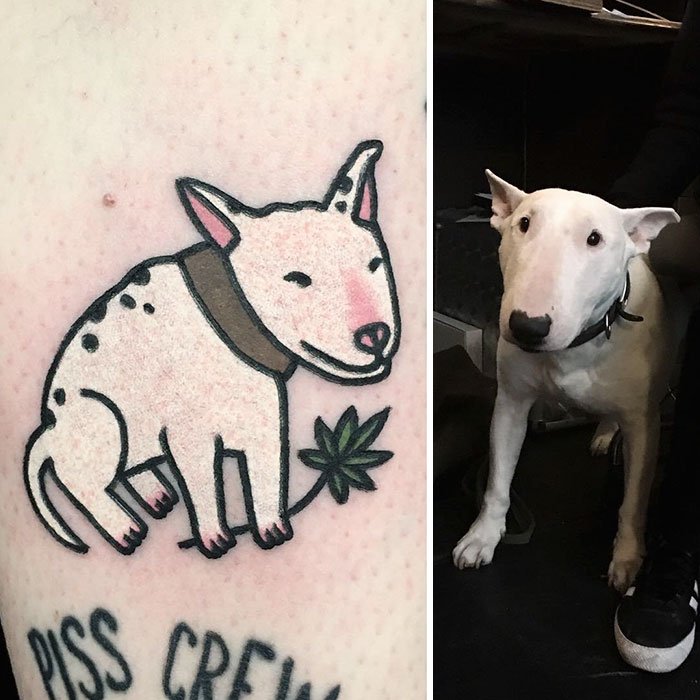 Já quis fazer uma tattoo do seu animal de estimação? Então veja estas fotos