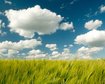 thumb-image-2024-02-29T14:02:20.733Z