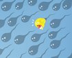thumb-image-2024-02-29T14:02:20.769Z