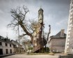 thumb-image-2024-02-29T14:02:21.642Z