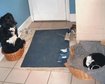 thumb-image-2024-02-29T14:02:22.269Z