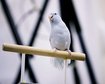 thumb-image-2024-02-29T14:02:22.527Z